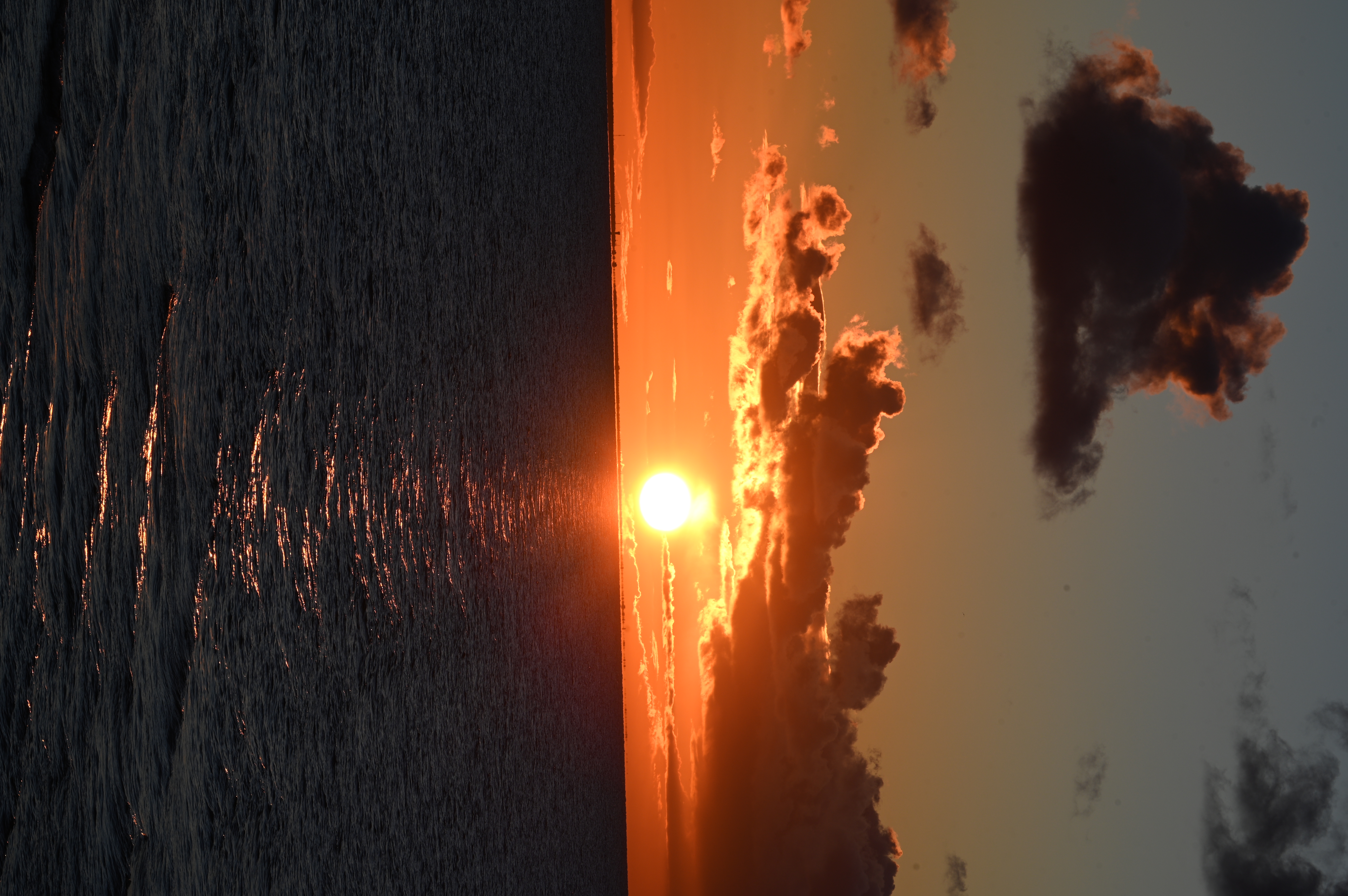 2025/10/18 - walk/DSC_0441.JPG